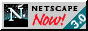 Download Netscape Now